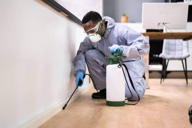 Best Fumigation Services  in Antwerp, OH